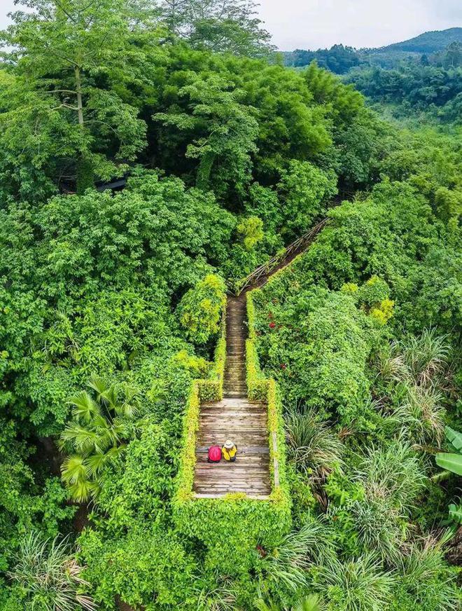 广西有一座岛古树参天、时钟倒流、石刻古迹有“蓬莱仙境”美誉！IM电竞 IM电竞平台(图2)