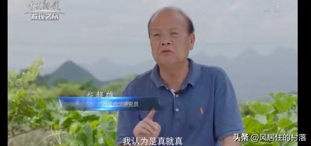 《发现之旅》冲击波：“甘桑石刻文IM电竞 电子竞技平台”真相首次由央视震撼发布(图9)