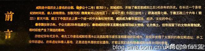 27）战疫·陕：咸阳博物院之秦咸阳文明展、佛教文物展和石刻IM电竞 电子竞技平台展(图3)