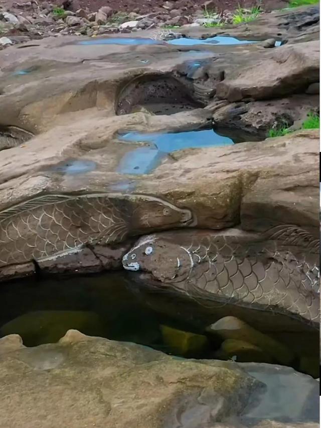 IM电竞 IM电竞平台重庆江边惊现大规模石刻各种生物造型形态逼真网友：史前文明(图4)