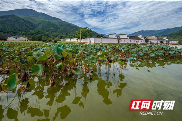 永州·传统村落丨周家大院：深藏在湘南的民间“故宫”IM电竞 IM电竞平台(图9)