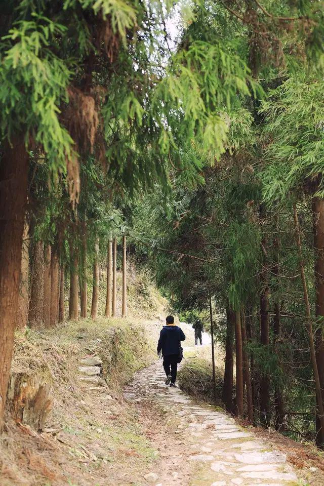 IM电竞 电子竞技平台乐清古道 秋日徒步好时光！乐清这些古道速速安排上！(图11)