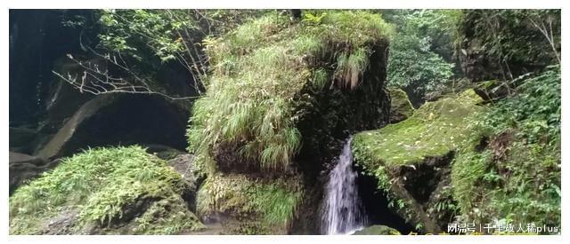 又忆青城山后山IM电竞 电子竞技平台(图2)