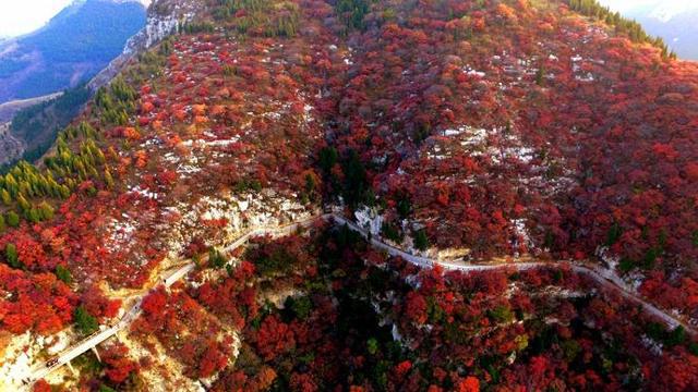 潍有秋色丨漫山红IM电竞 IM电竞平台遍沉醉在层林浸染的石门坊景区(图2)