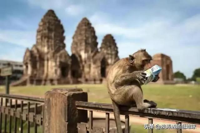 IM电竞 IM电竞app45张图看世界：3700年前的豪华女王浴缸5000年前的啤酒配方(图16)