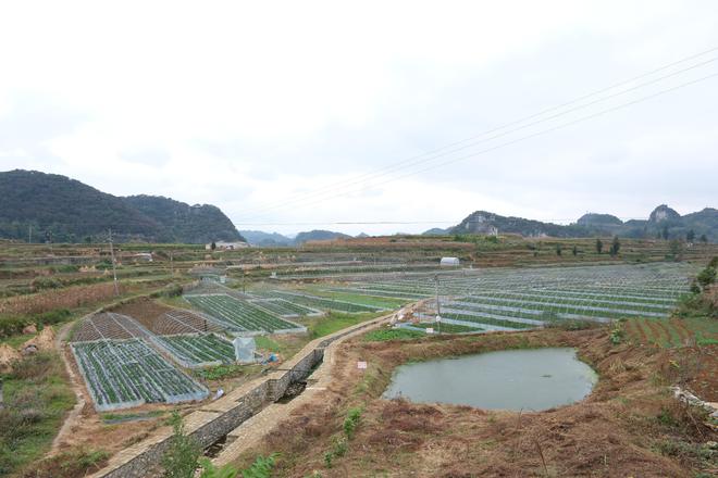 六枝木岗瓦窑村：挖掘资源优势 打造特色布依文化乡村IM电竞 电子竞技平台(图1)