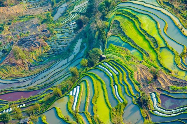 IM电竞 IM电竞平台雕塑山岭 大地之镜——世界遗产·红河哈尼梯田 美丽云南第三季(图9)