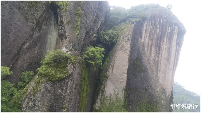 峻秀武夷IM电竞 IM电竞平台山(图4)