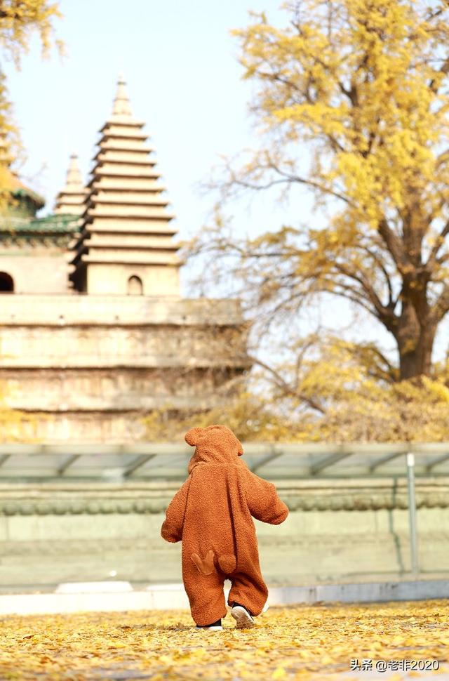 我用5个案例教会你如何找到人少又好玩的旅游IM电竞 IM电竞平台目的地(图3)