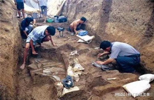 IM电竞 电子竞技平台三峡地区挖出神秘“太阳人”已有7000年历史内容至今无法解释(图4)