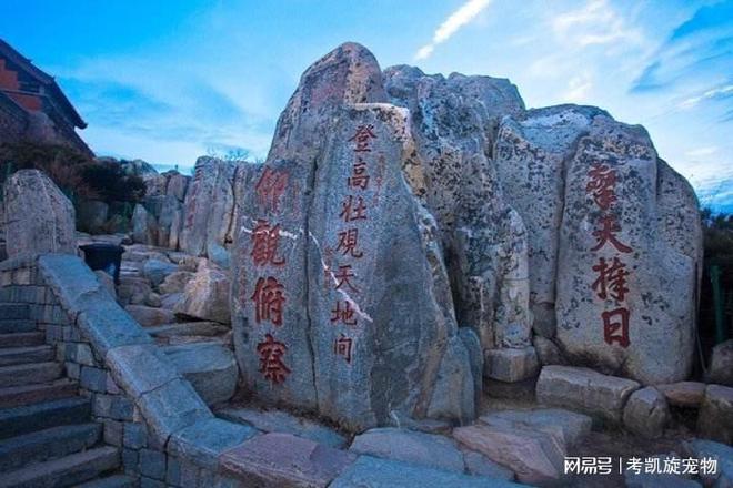 山东一定要去的景IM电竞 IM电竞平台区山体上有20余处古建筑群2200余处碑碣石刻(图5)