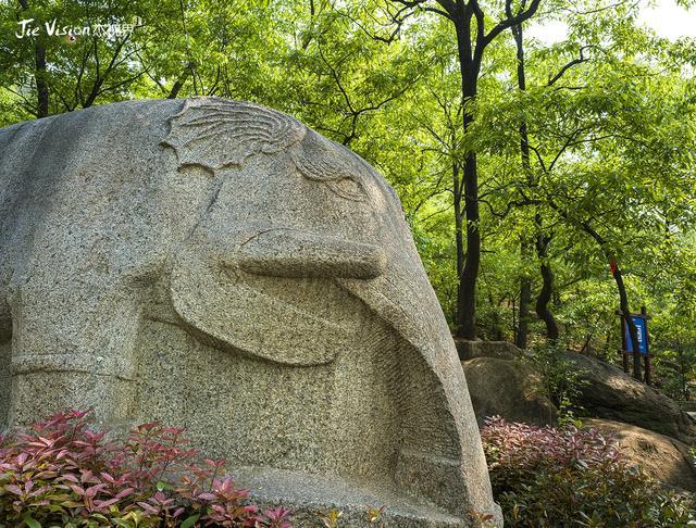 IM电竞 IM电竞平台中国第一佛像石刻被“差评”？笑称没文化真可怕！ 孔望山摩崖石刻(图9)