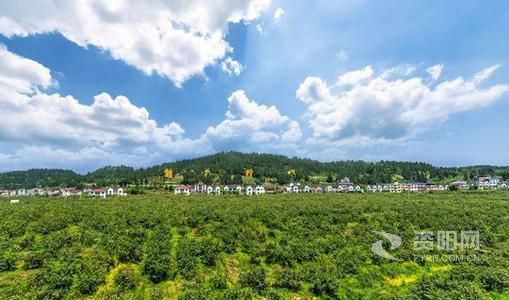 清明小IM电竞 电子竞技平台长假来了这份资阳红色旅游攻略请查收(图10)