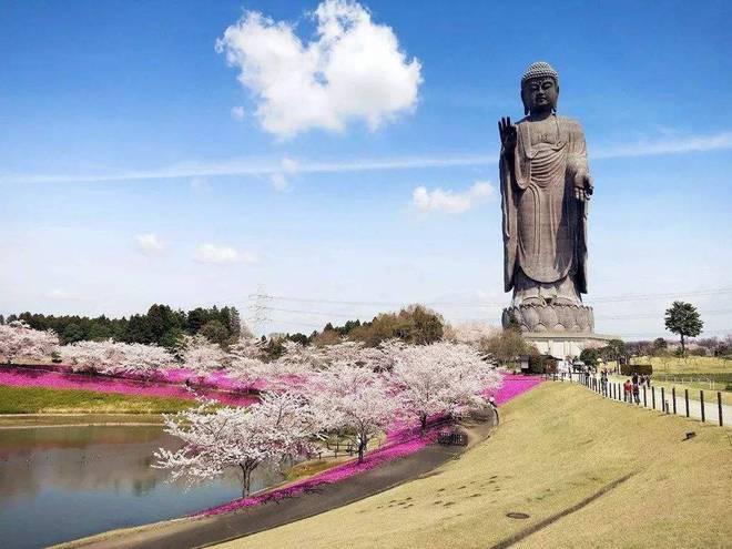 IM电竞 IM电竞平台全世界最高大的8大雕像中国有3座榜上有名日本竟然也有两座！(图5)