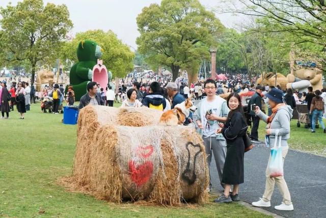 悬浮花艺城堡、粉色“熔岩火山”月湖IM电竞 IM电竞平台雕塑公园奇幻出圈→(图2)