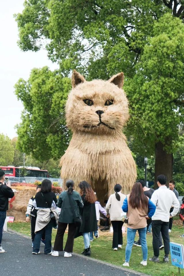 悬浮花艺城堡、粉色“熔岩火山”月湖IM电竞 IM电竞平台雕塑公园奇幻出圈→(图3)