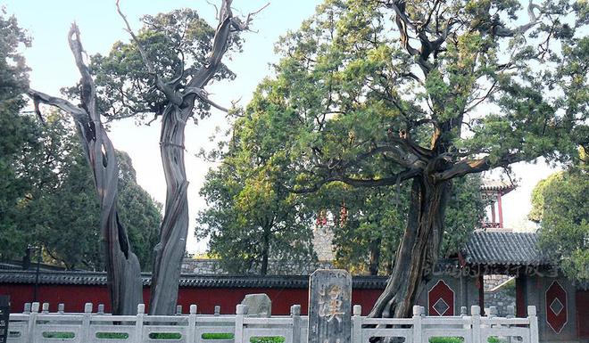 IM电竞 IM电竞app山东“华夏名山第一庙”与故宫齐名藏中国最早石刻却少有人知！(图7)