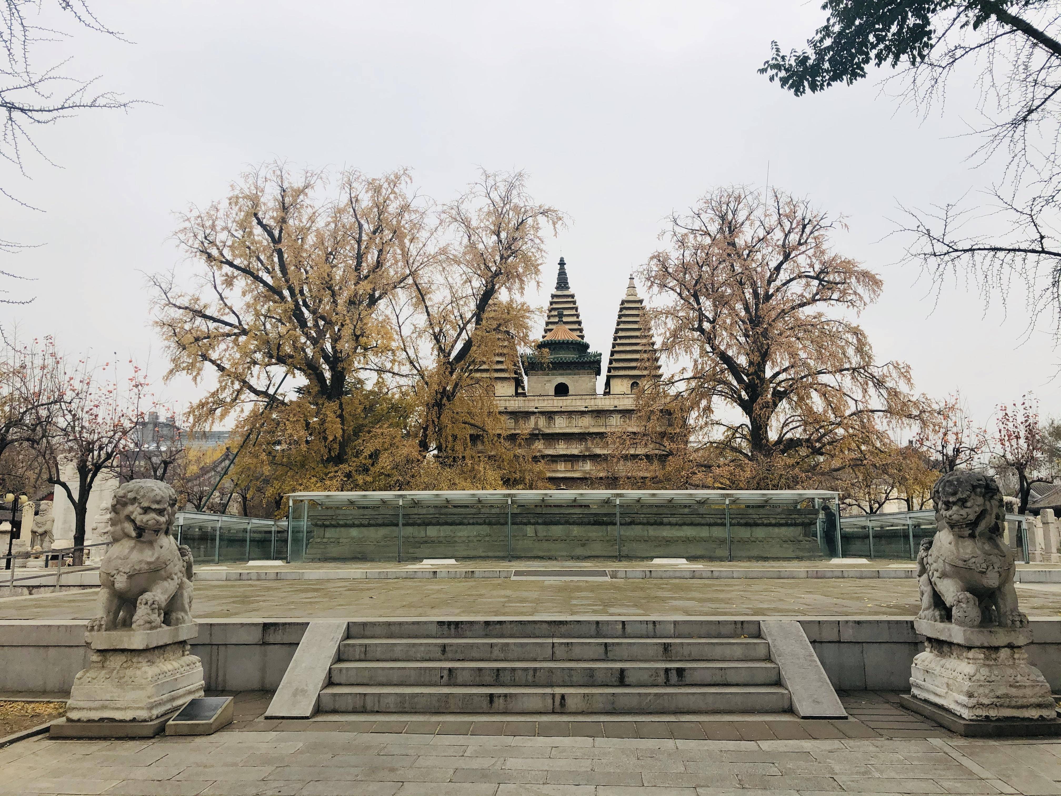 北京这个近600年历史的秘境景点IM电竞 IM电竞app最近火遍朋友圈深秋景致美(图2)