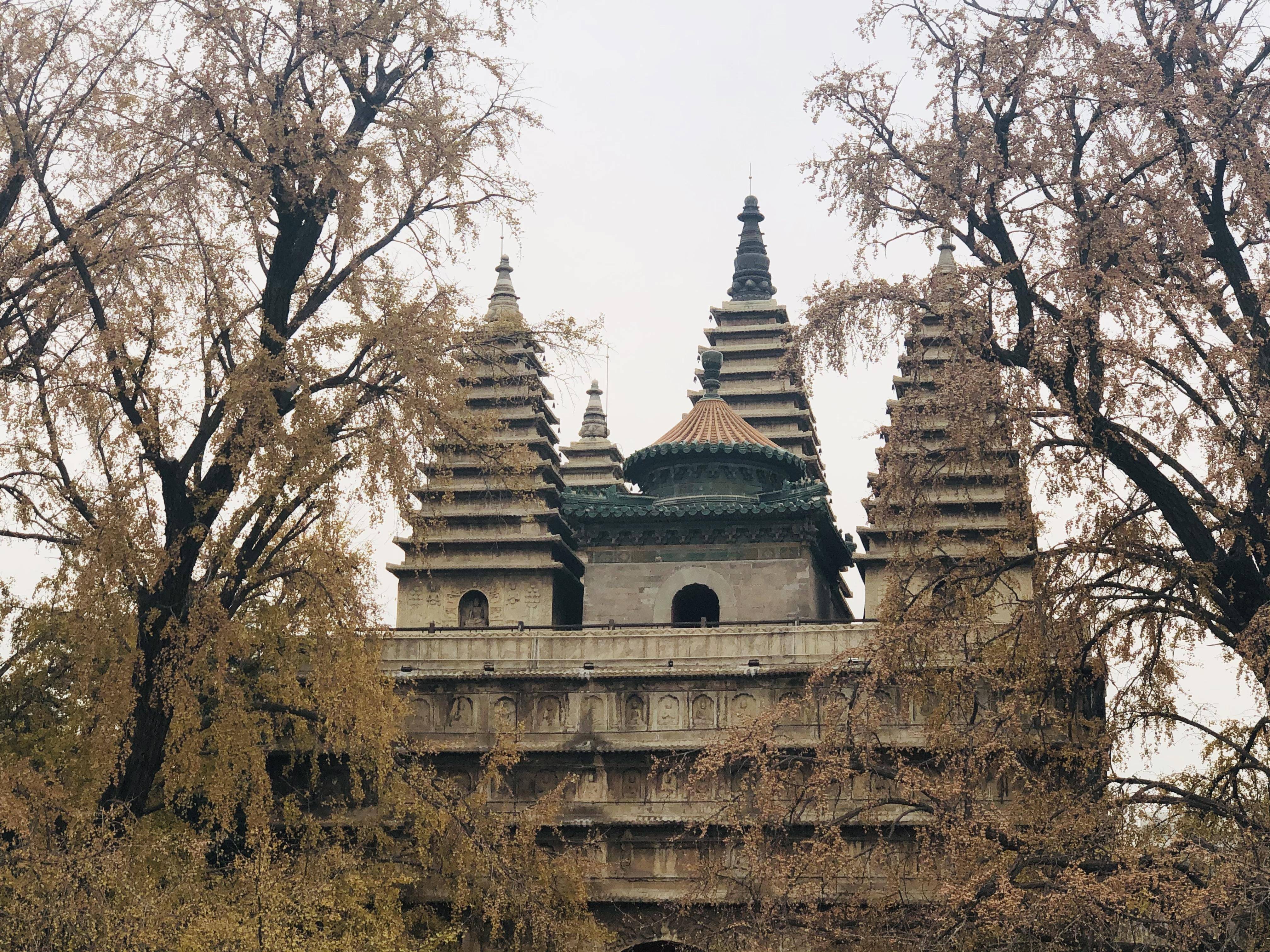 北京这个近600年历史的秘境景点IM电竞 IM电竞app最近火遍朋友圈深秋景致美(图3)